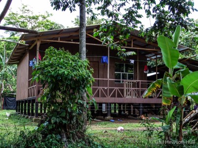 The Costa Rican government housing ministry will now provide qualified Ngobe applicants with "bonos" (subsidies) for homes such as these in the Ngobe style. This is a model for all such future homes in La Casona.