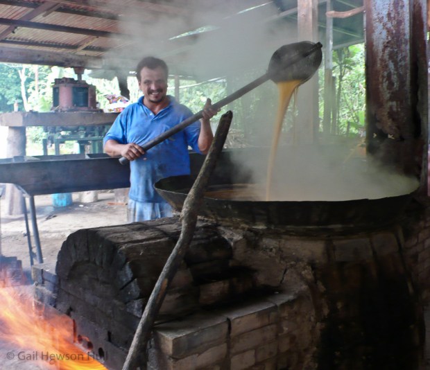 "Tapichero", sugar cane processor, Perez Zeladon, Costa Rica, 2008