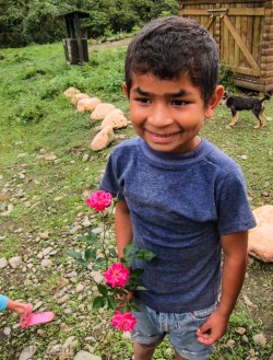 Boy with distinct eyebrows, clutching roses, Mashpi, Ecuador, 2014