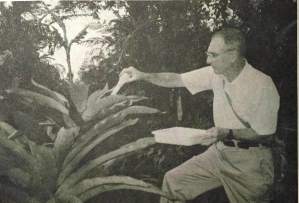 Photo from Dec. 1991 Amigos Newsletter of Robert W. Lichtwardt collecting aquatic insects from bromeliads with a turkey baster.