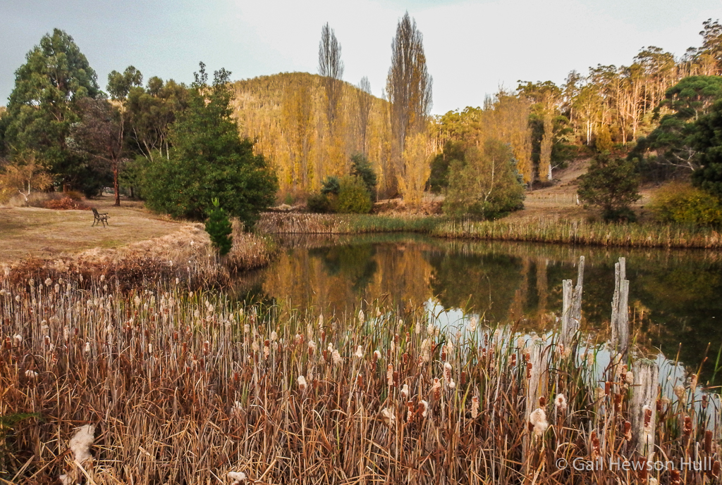 Fentonbury Creek at Hamlet Downs, where we successfully saw platypuses. Coming soon in my next post!