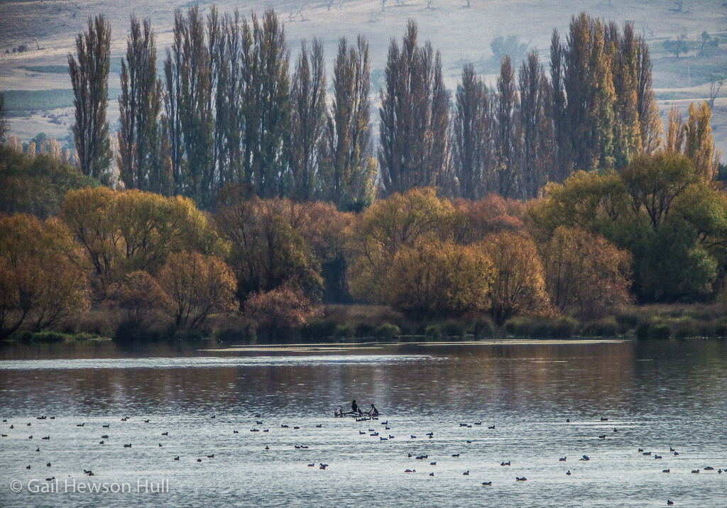 River Derwent at Goodwood 